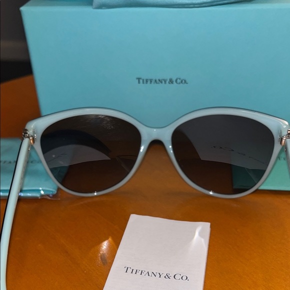 Tiffany & Co. Aqua Blue Jewelry Case - Picture 9 of 12